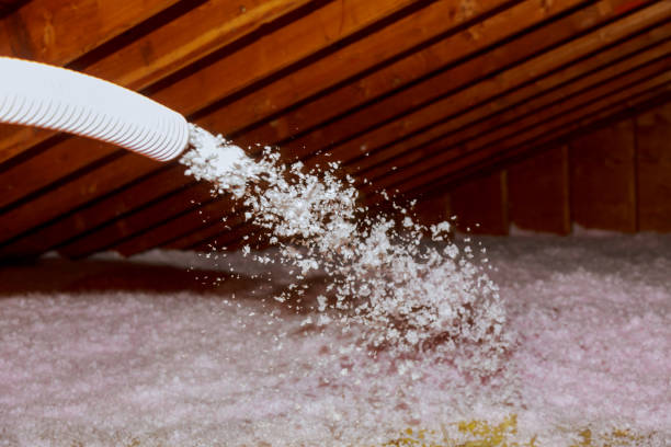 Insulation Repair Services in Elsmere, DE