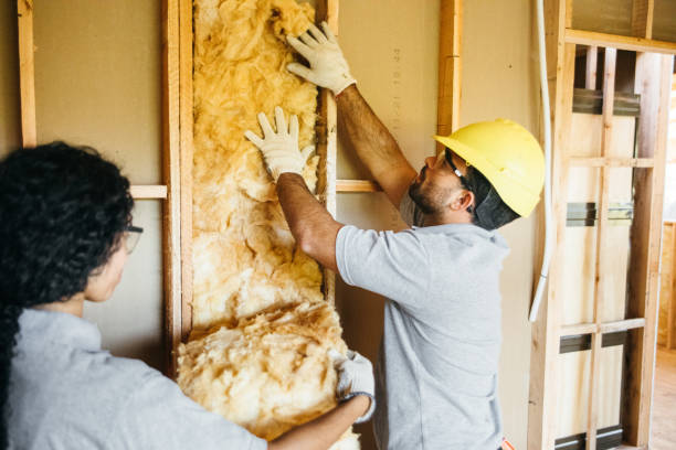 Best Crawl Space Insulation  in Elsmere, DE